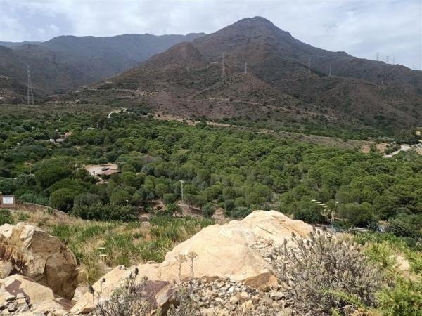 Terreno en Pista Colada de los Molinos a E, 176