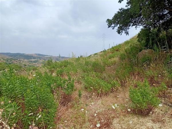 Terreno en Pista Colada de los Molinos a E, 176