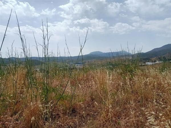 Terreno en Pista Colada de los Molinos a E, 176