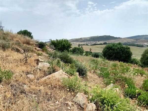 Terreno en Pista Colada de los Molinos a E, 176