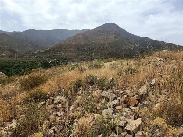 Terreno en Pista Colada de los Molinos a E, 176