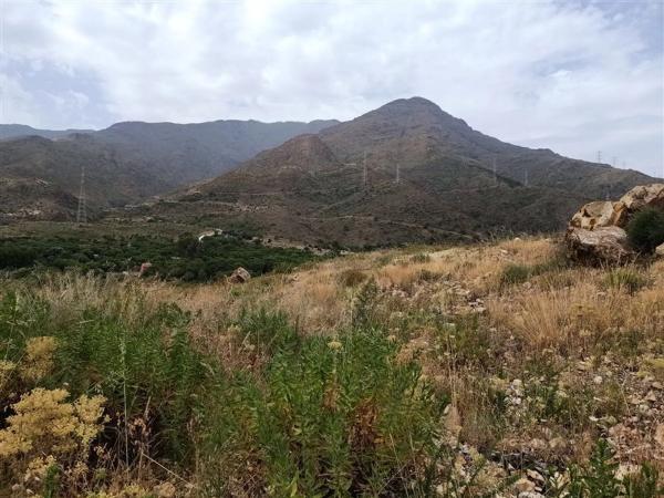 Terreno en Pista Colada de los Molinos a E, 176