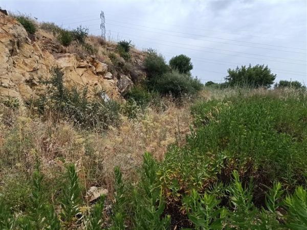 Terreno en Pista Colada de los Molinos a E, 176