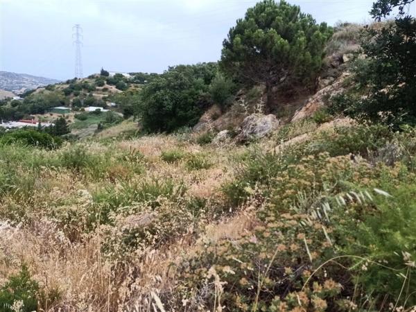 Terreno en Pista Colada de los Molinos a E, 176