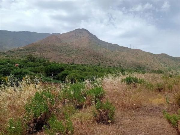 Terreno en Pista Colada de los Molinos a E, 176