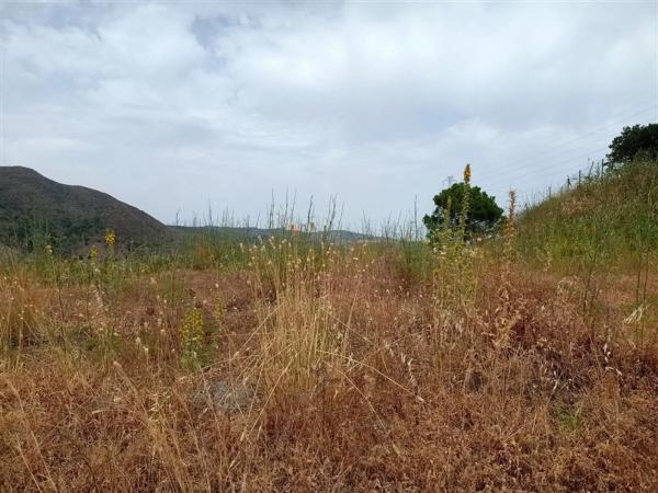 Terreno en Pista Colada de los Molinos a E, 176