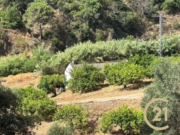 Terreno en Municipio Rio Padron, 20