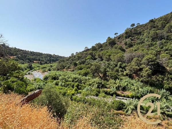 Terreno en Municipio Rio Padron, 20