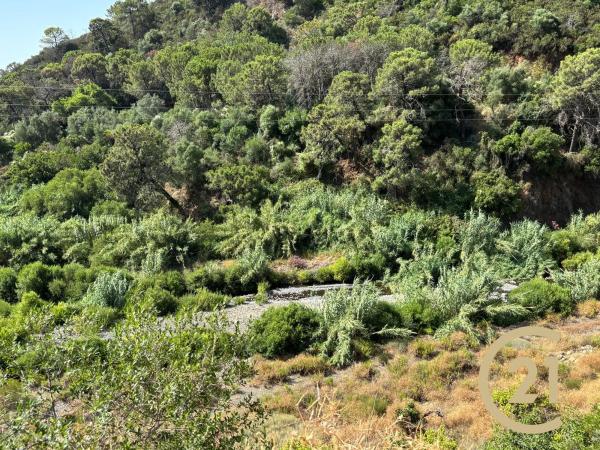 Terreno en Municipio Rio Padron, 20