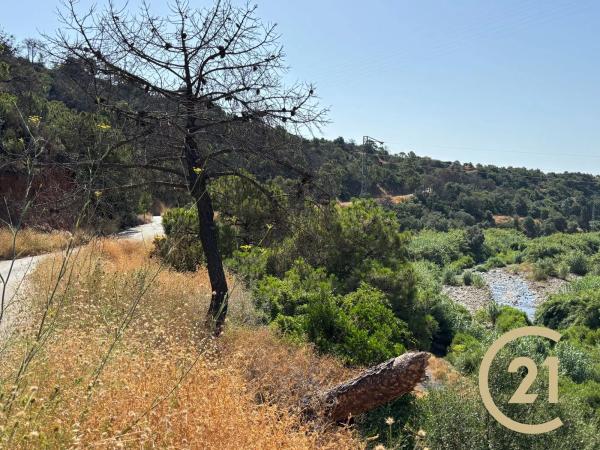 Terreno en Municipio Rio Padron, 20