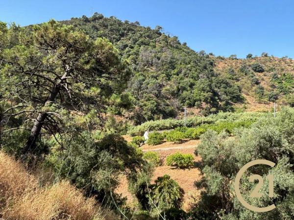 Terreno en Municipio Rio Padron, 20