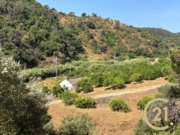 Terreno en Municipio Rio Padron, 20