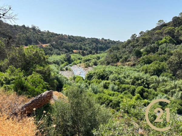 Terreno en Municipio Rio Padron, 20