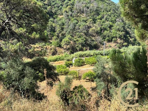 Terreno en Municipio Rio Padron, 20