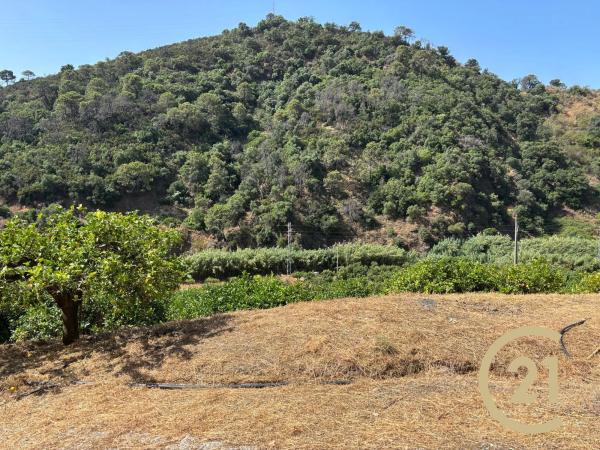 Terreno en Municipio Rio Padron, 20