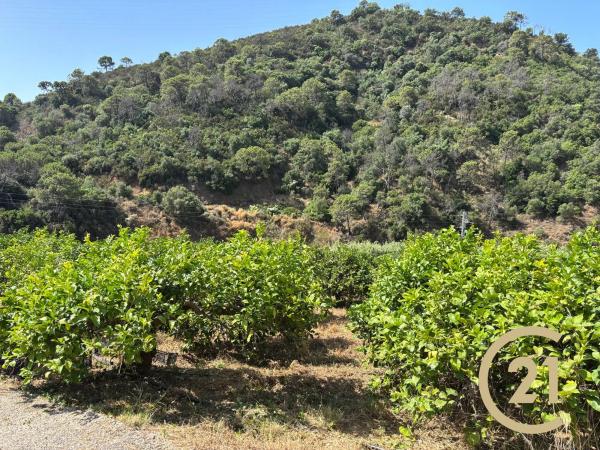 Terreno en Municipio Rio Padron, 20