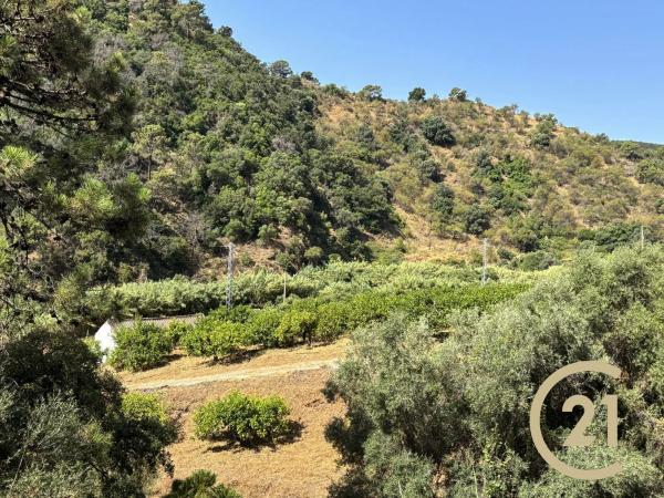 Terreno en Municipio Rio Padron, 20