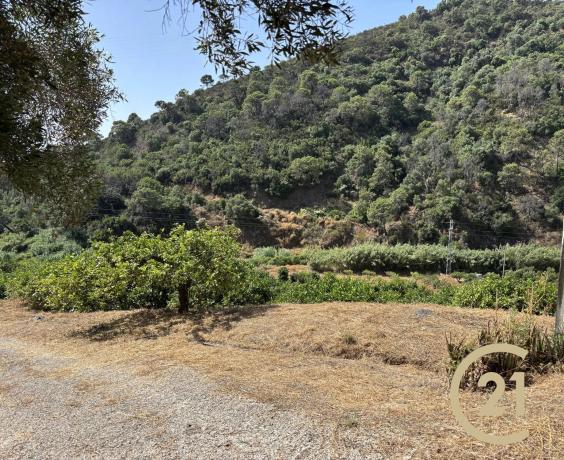 Terreno en Municipio Rio Padron, 20