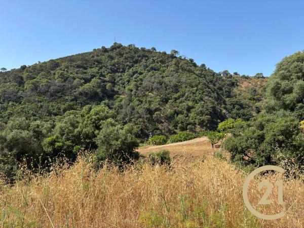 Terreno en Municipio Rio Padron, 20
