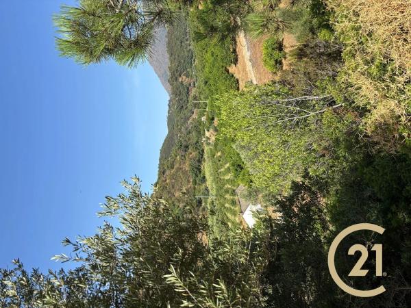 Terreno en Municipio Rio Padron, 20