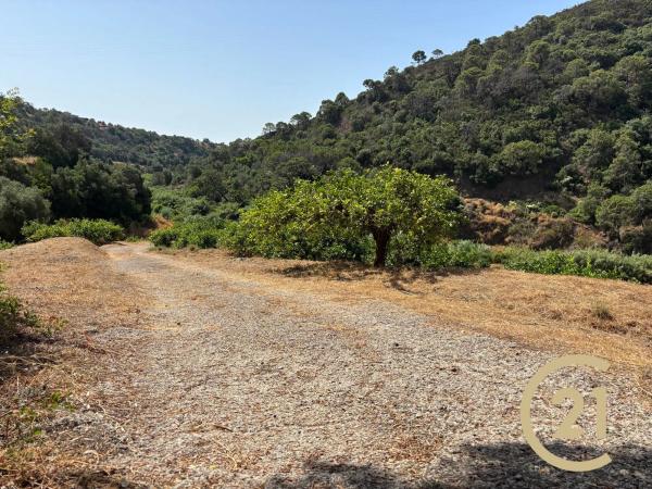 Terreno en Municipio Rio Padron, 20