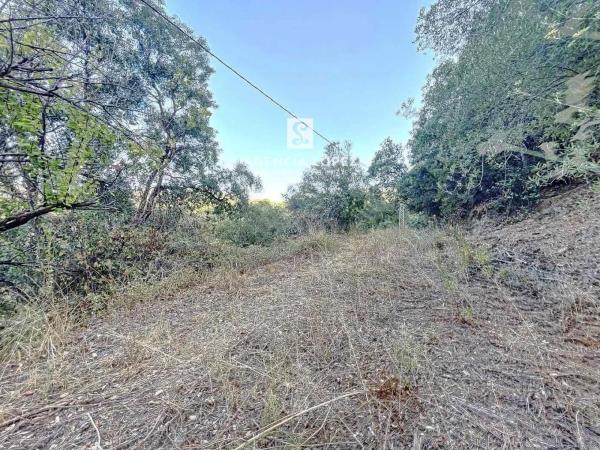 Terreno en Altos de Estepona