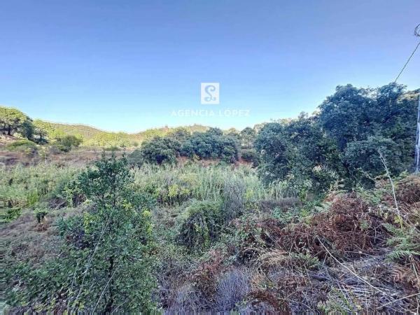 Terreno en Altos de Estepona