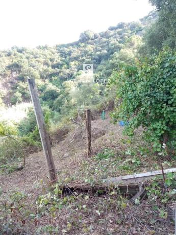 Terreno en Altos de Estepona