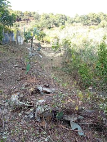 Terreno en Altos de Estepona