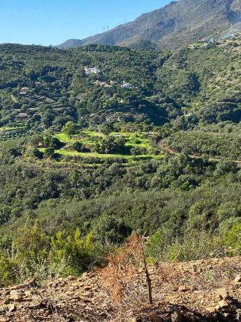 Terreno en Altos de Estepona