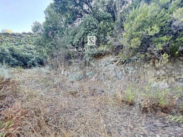 Terreno en Altos de Estepona