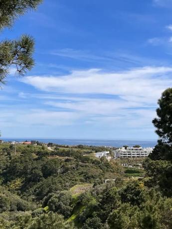 Terreno en camino de la Paloma, 8