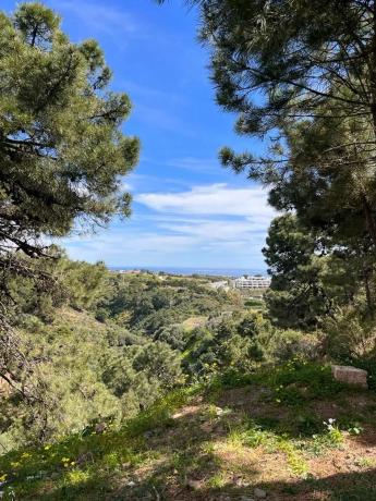 Terreno en camino de la Paloma, 8