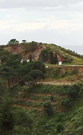 Terreno en camino de la Paloma, 8