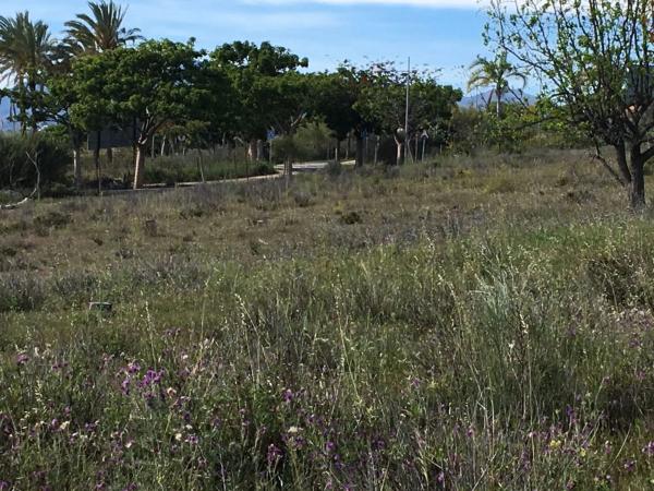 Terreno en Zona Sup-E9 Norte Cancelada