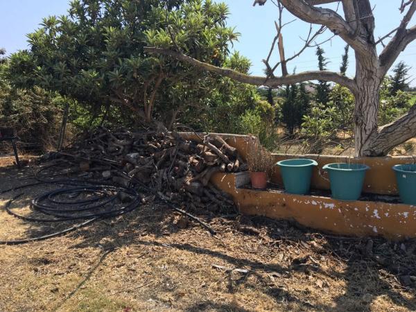 Terreno en Zona Sup-E9 Norte Cancelada