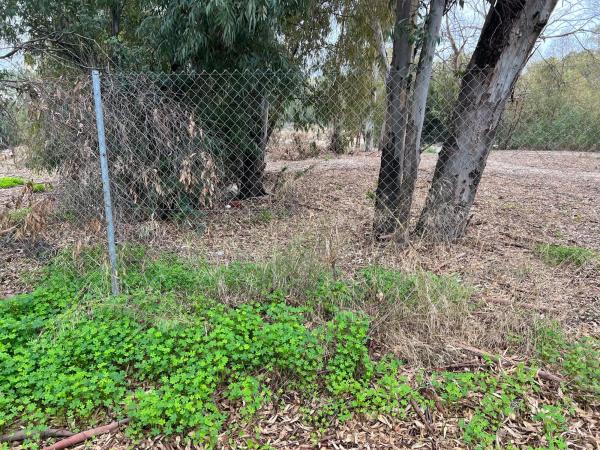 Terreno en Umbral Atalaya Green Avenue, 65