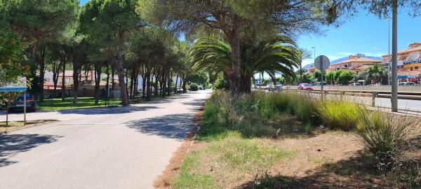 Terreno en Barrio Paraiso-Barronal