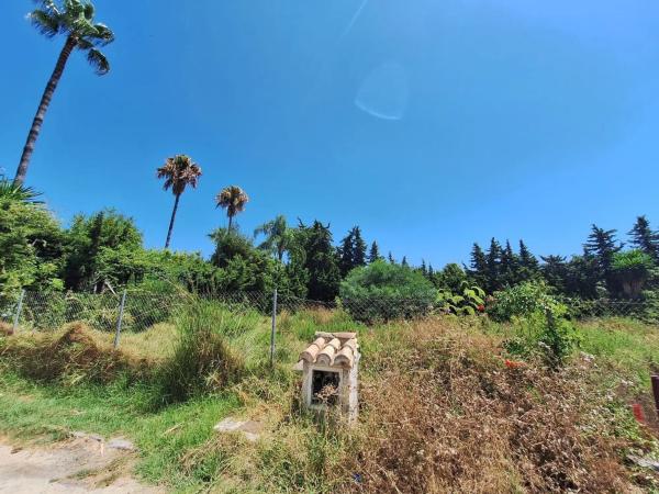 Terreno en calle de la Codorniz
