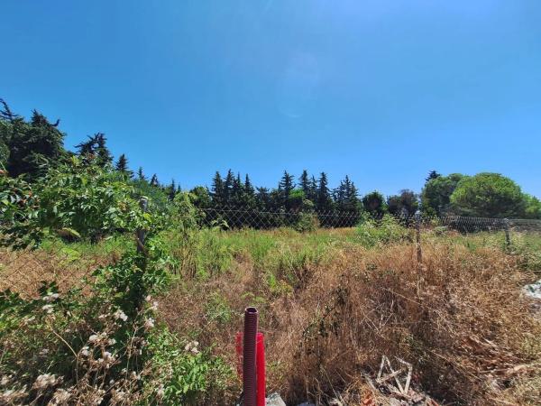 Terreno en calle de la Codorniz