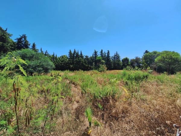 Terreno en calle de la Codorniz