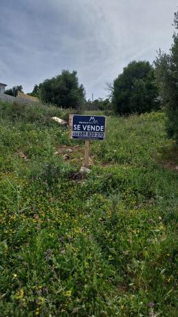 Terreno en Urbanización Valle Romano, 227