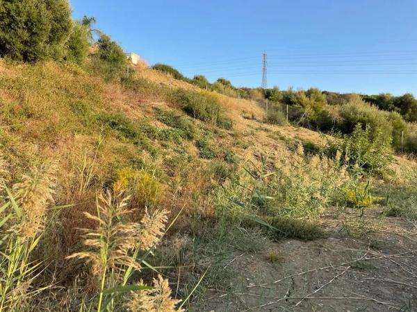 Terreno en calle Cuba Bajo