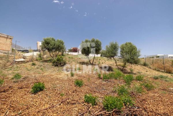 Terreno en calle Guatemala