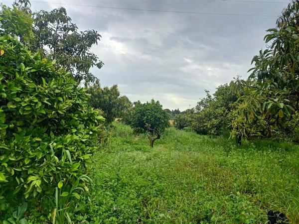 Terreno en calle Monterroso, 47