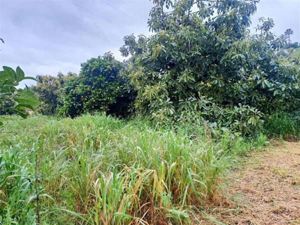 Terreno en calle Monterroso, 47