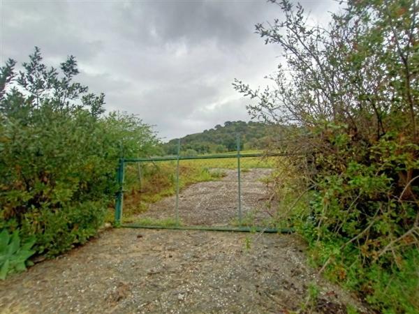 Terreno en calle Monterroso, 47