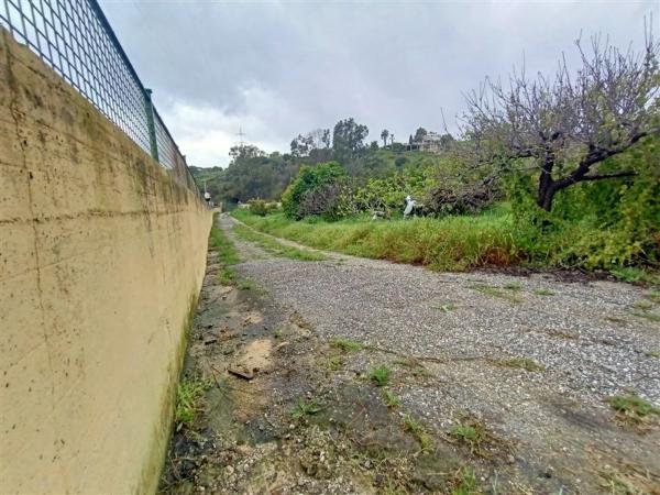 Terreno en calle Monterroso, 47