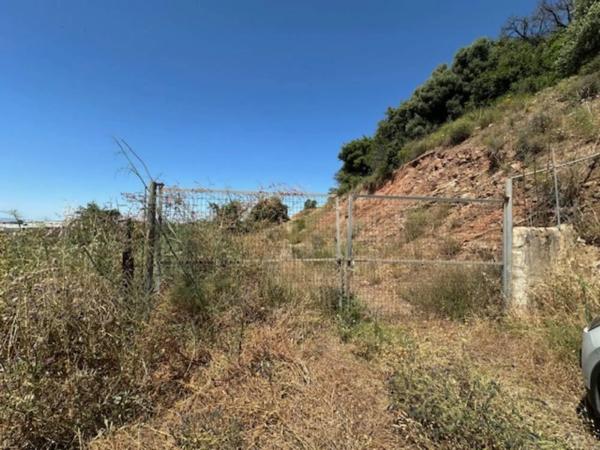 Terreno en calle Monterroso