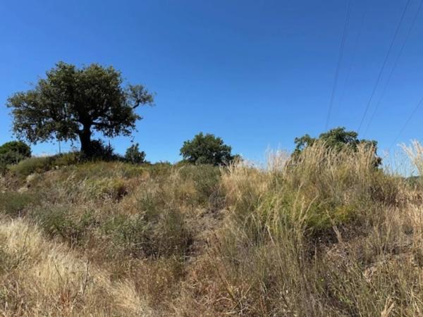 Terreno en calle Monterroso